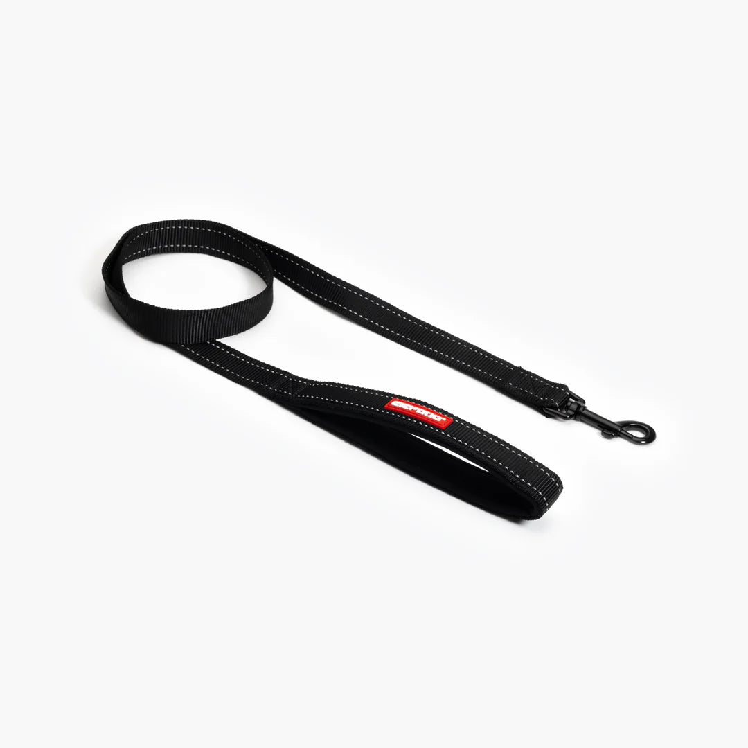 Essential Dog Leash