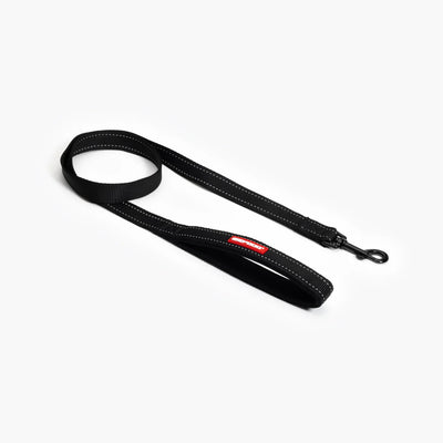 Essential Dog Leash