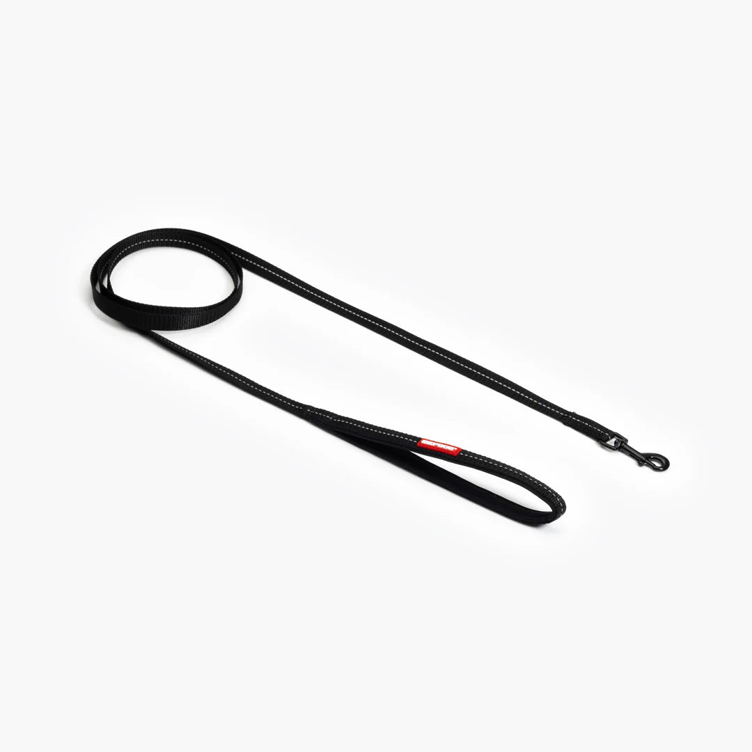Essential Dog Leash