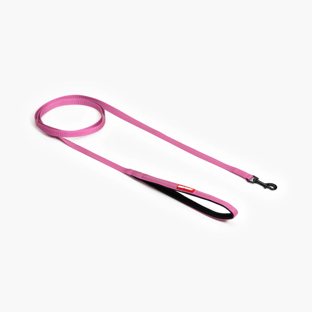 Essential Dog Leash