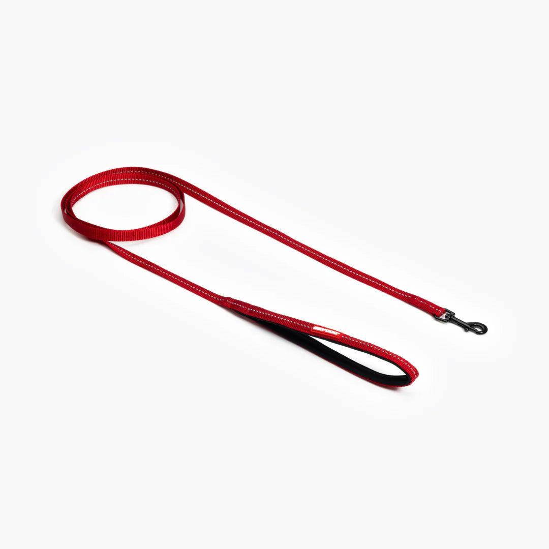 Essential Dog Leash