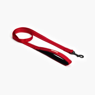 Essential Dog Leash