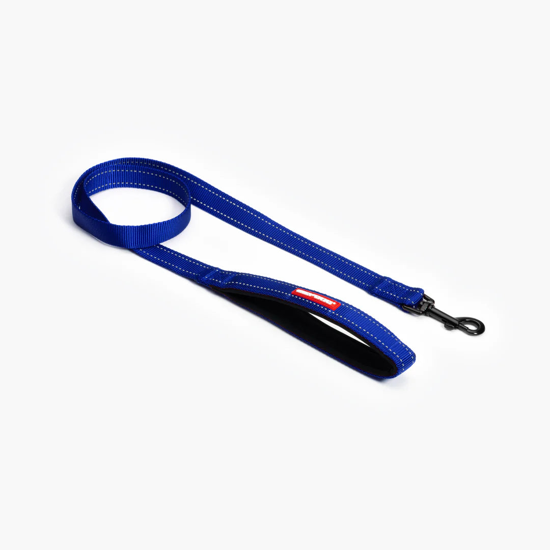 Essential Dog Leash