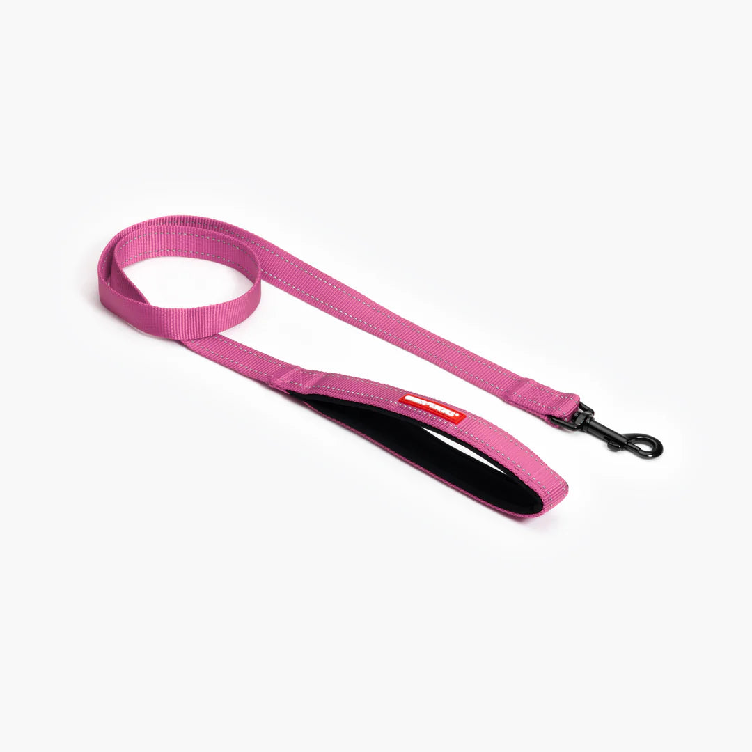 Essential Dog Leash
