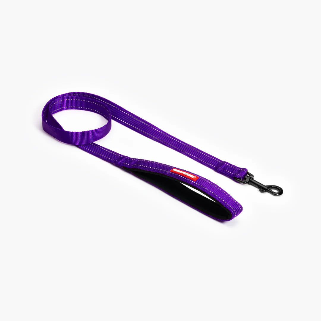 Essential Dog Leash