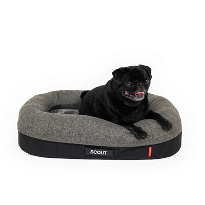 2-in-1 Ortho Calm Elite Dog Bed