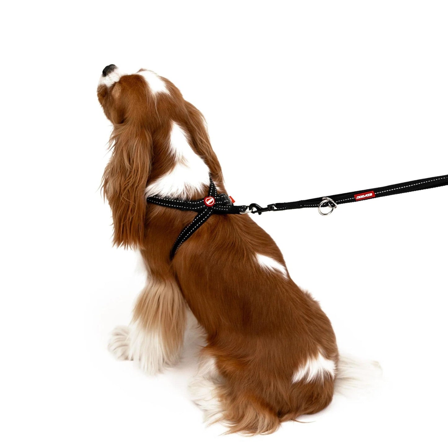 Crosscheck No Pull Dog Training Harness