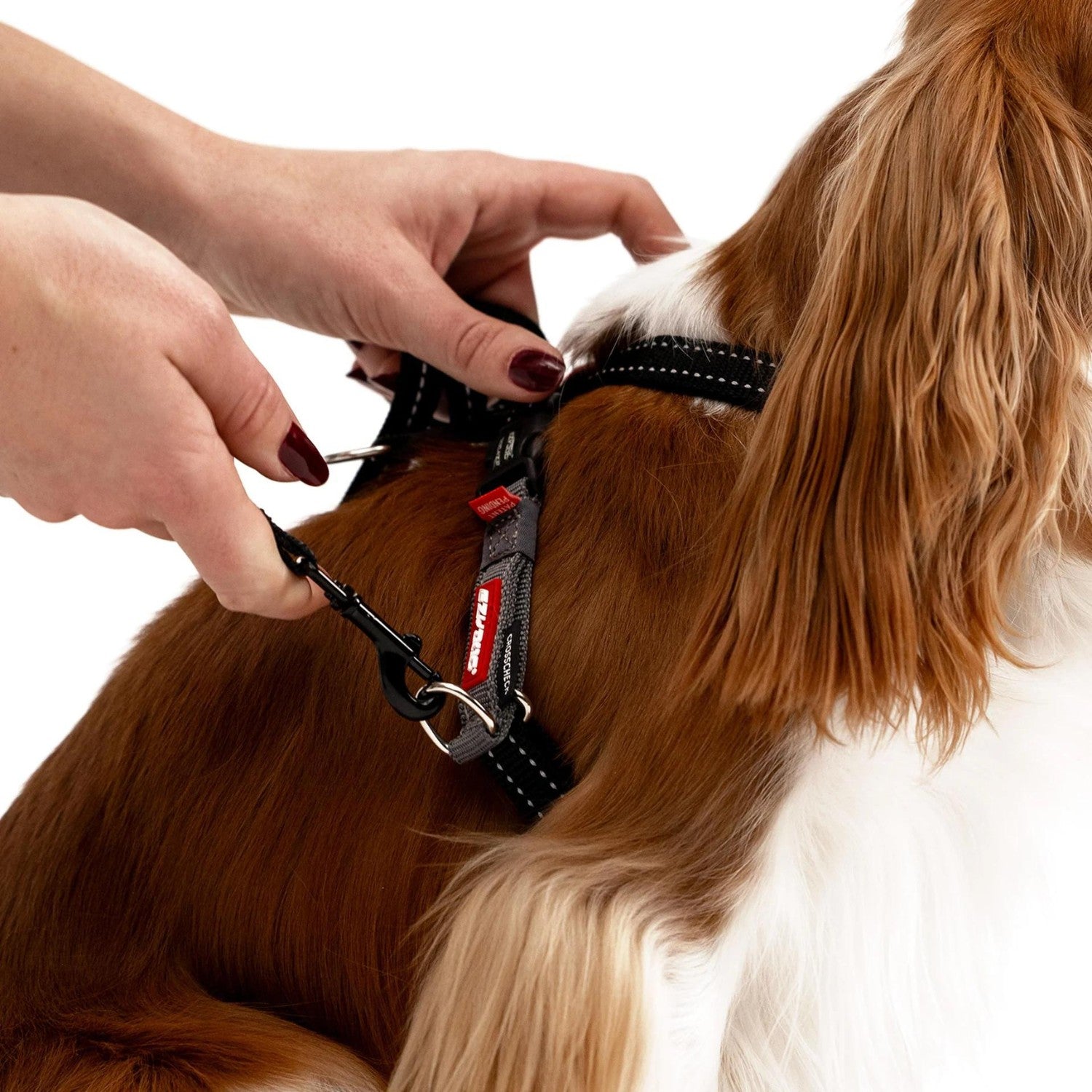 EzyDog | Crosscheck No Pull Dog Training Harness – Peticular