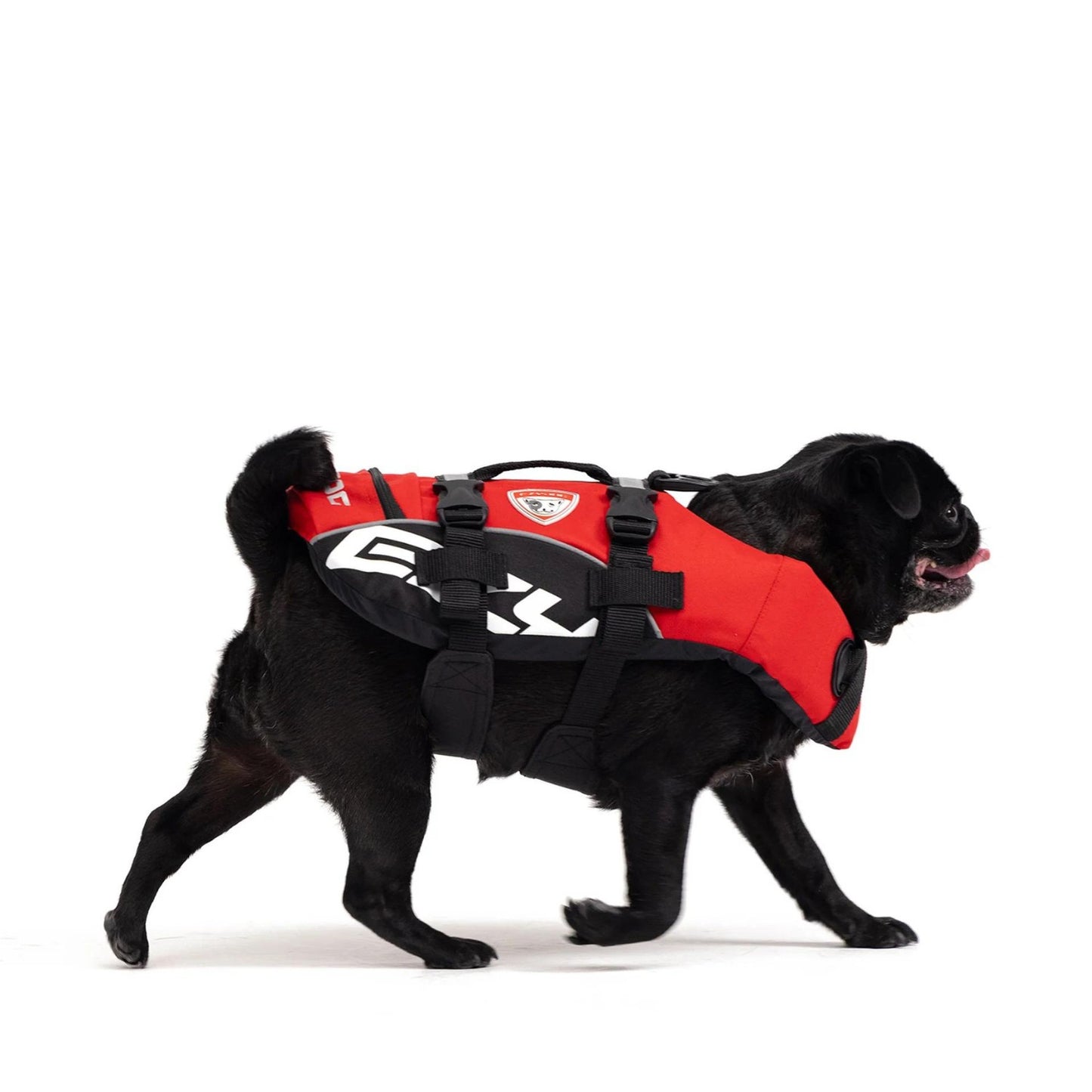 DFD (Dog Flotation Device)