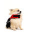 DFD Micro (Dog Flotation Device)