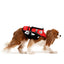 DFD Micro (Dog Flotation Device)