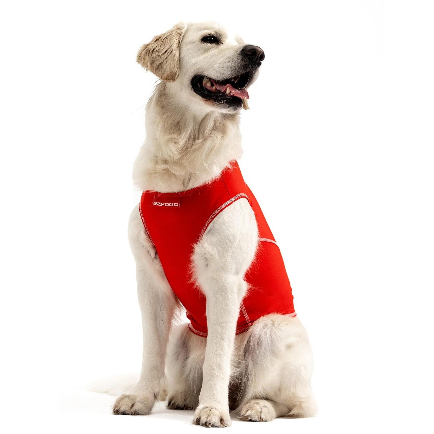 EzyDog | Dog Rashie | 50+ UV Sun Protection & High Vis – Peticular