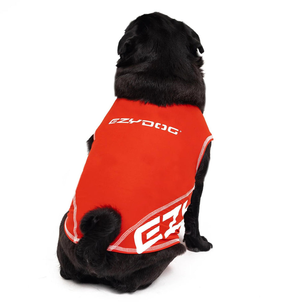EzyDog | Dog Rashie | 50+ UV Sun Protection & High Vis – Peticular