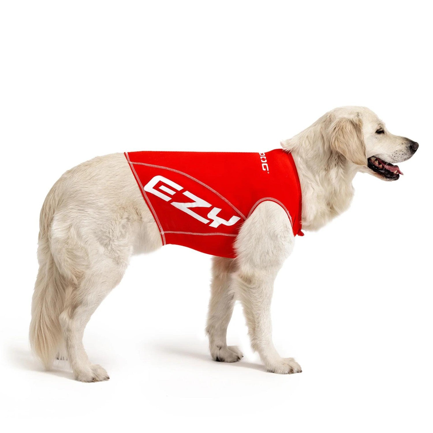 EzyDog | Dog Rashie | 50+ UV Sun Protection & High Vis – Peticular
