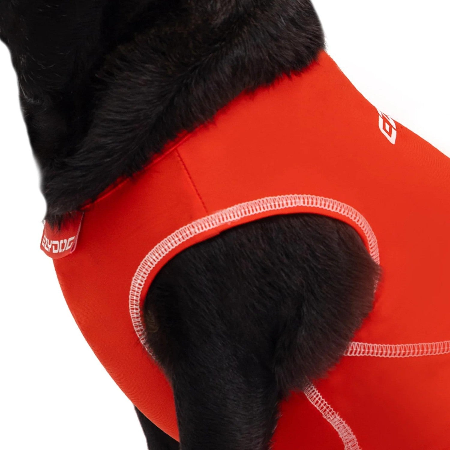 EzyDog | Dog Rashie | 50+ UV Sun Protection & High Vis – Peticular