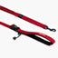 Road Runner Dog Leash