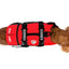 DFD (Dog Flotation Device)