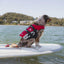 DFD (Dog Flotation Device)