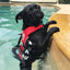 DFD Micro (Dog Flotation Device)