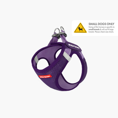 Formfit Mesh Harness Purple