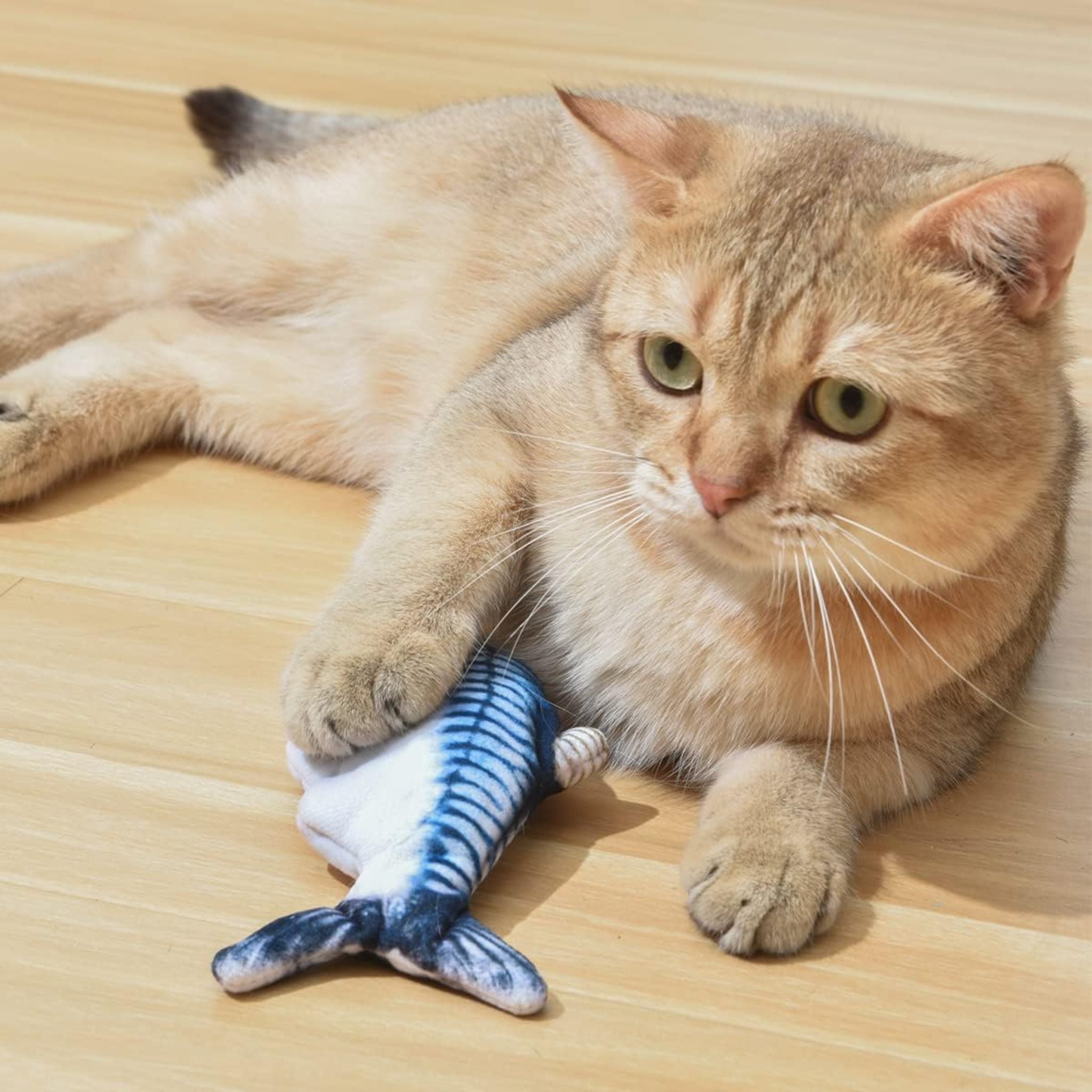 Flopping Fish FurKidz | Flopping Fish Cat Toy - Mackerel | Peticular