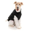 Flash Harness Dog Jacket | Black