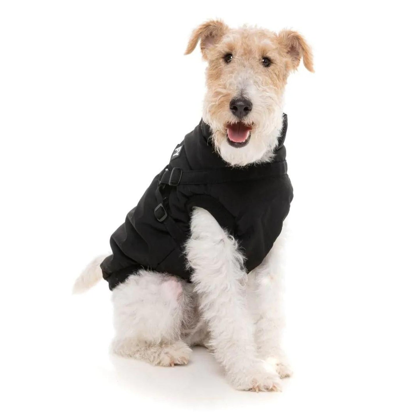 Flash Harness Dog Jacket | Black