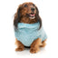 Turtle Teddy 24 Dog Sweater | Blue