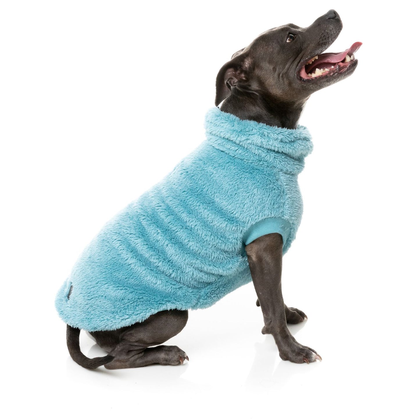 Turtle Teddy 24 Dog Sweater | Blue