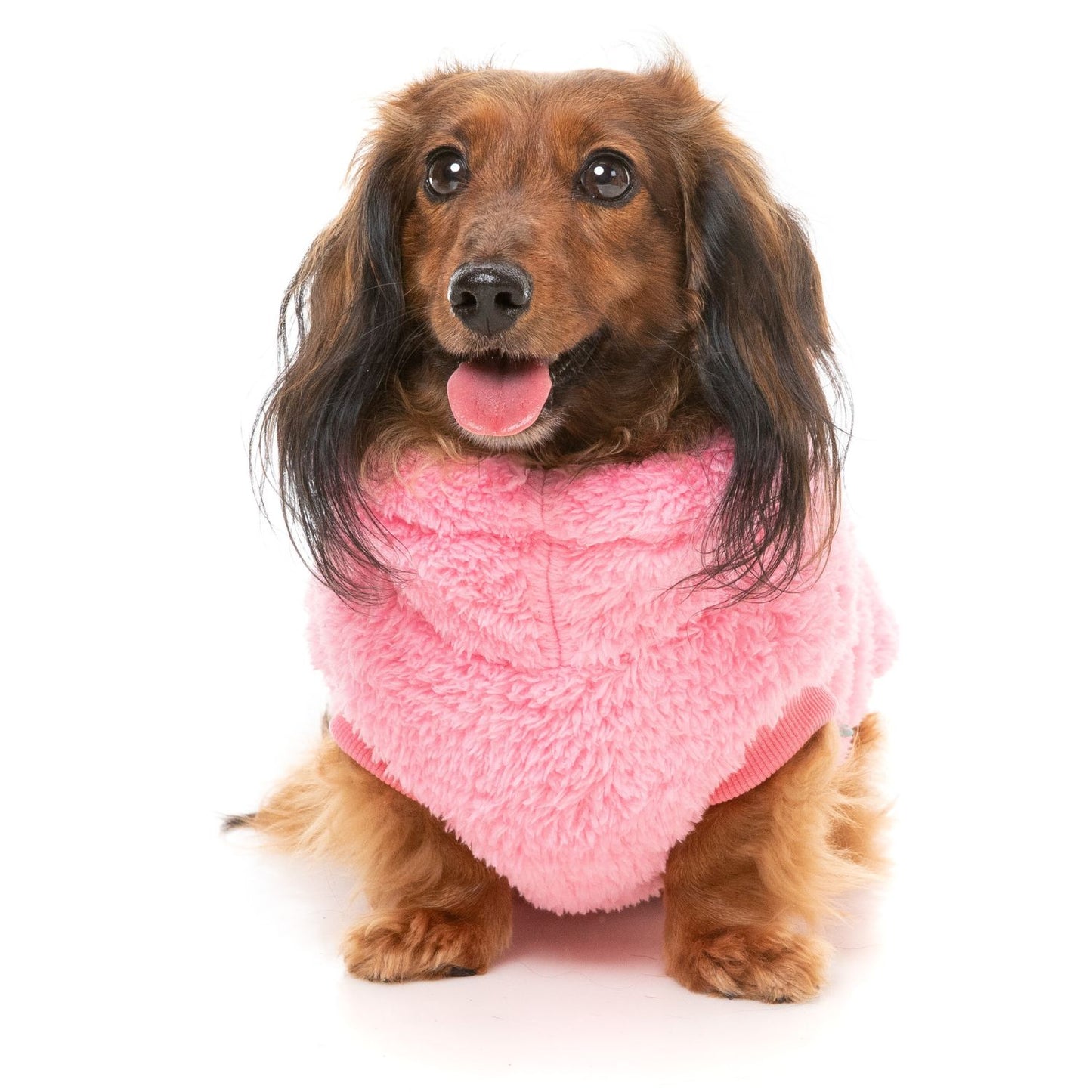 Turtle Teddy 24 Dog Sweater | Pink