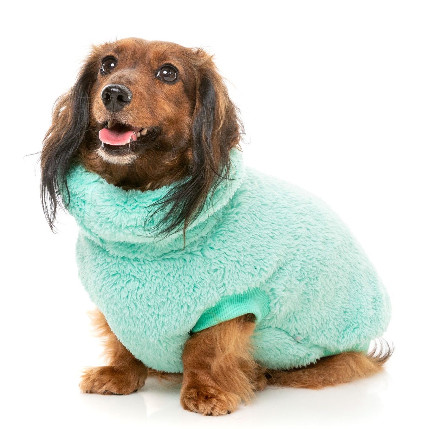 Turtle Teddy 24 Dog Sweater | Teal