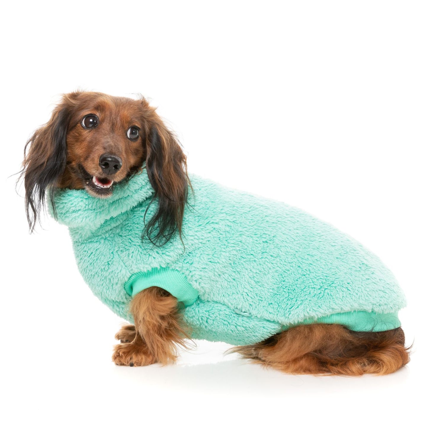 Turtle Teddy 24 Dog Sweater | Teal