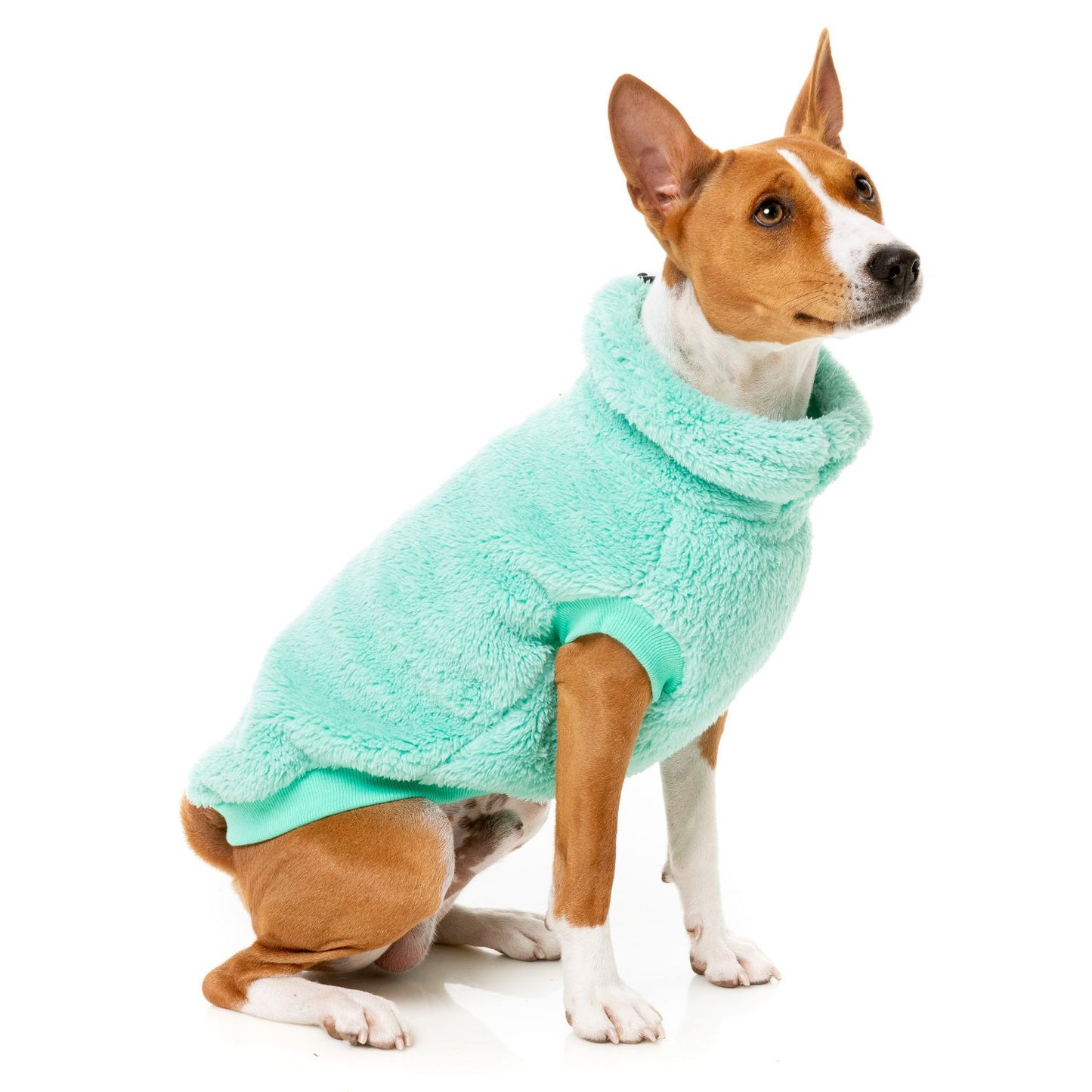 Turtle Teddy 24 Dog Sweater | Teal