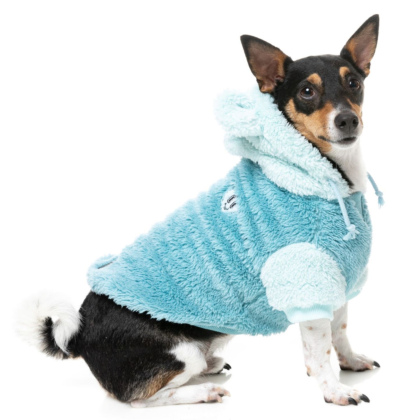 Winnie Dog Hoodie | Blue