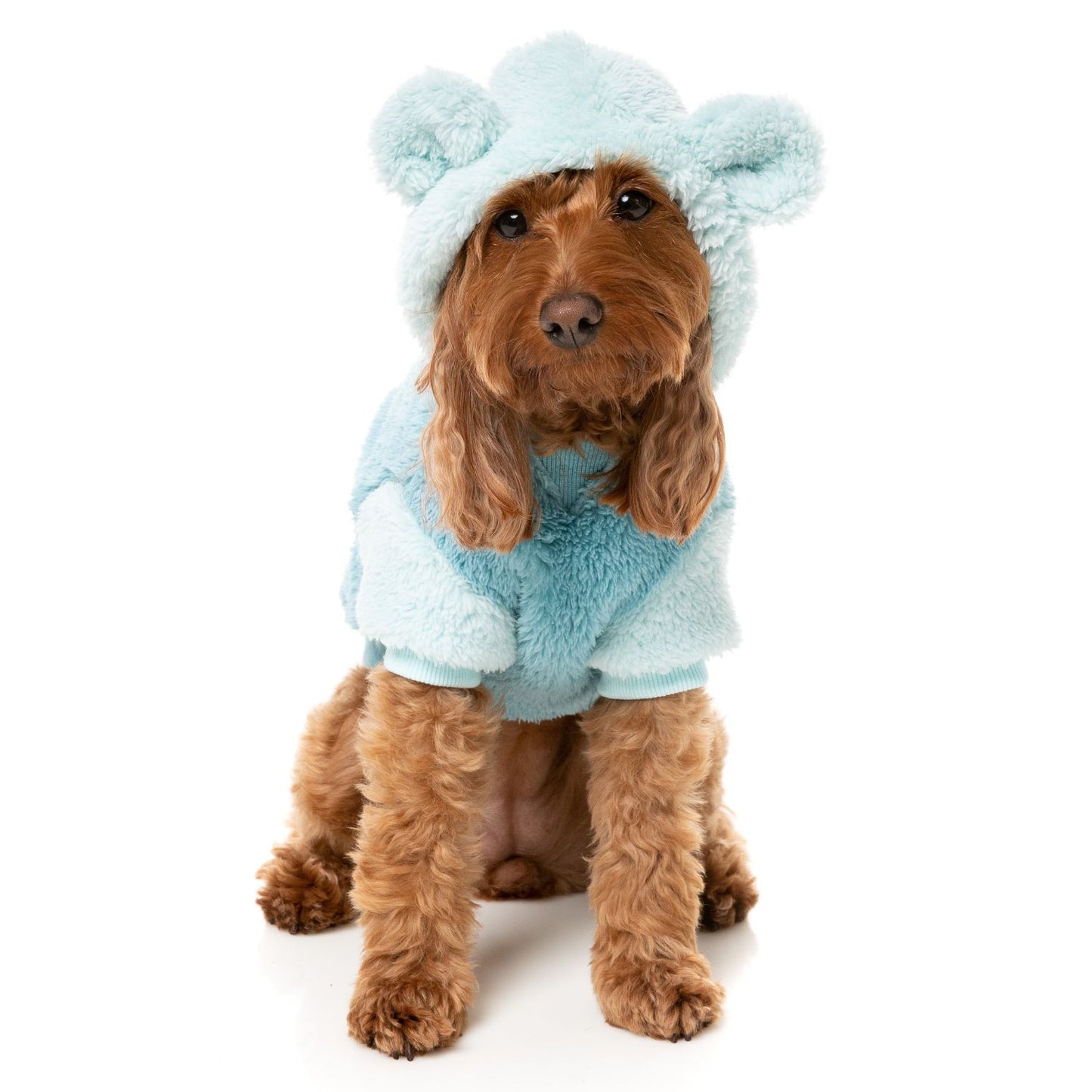 Winnie Dog Hoodie | Blue