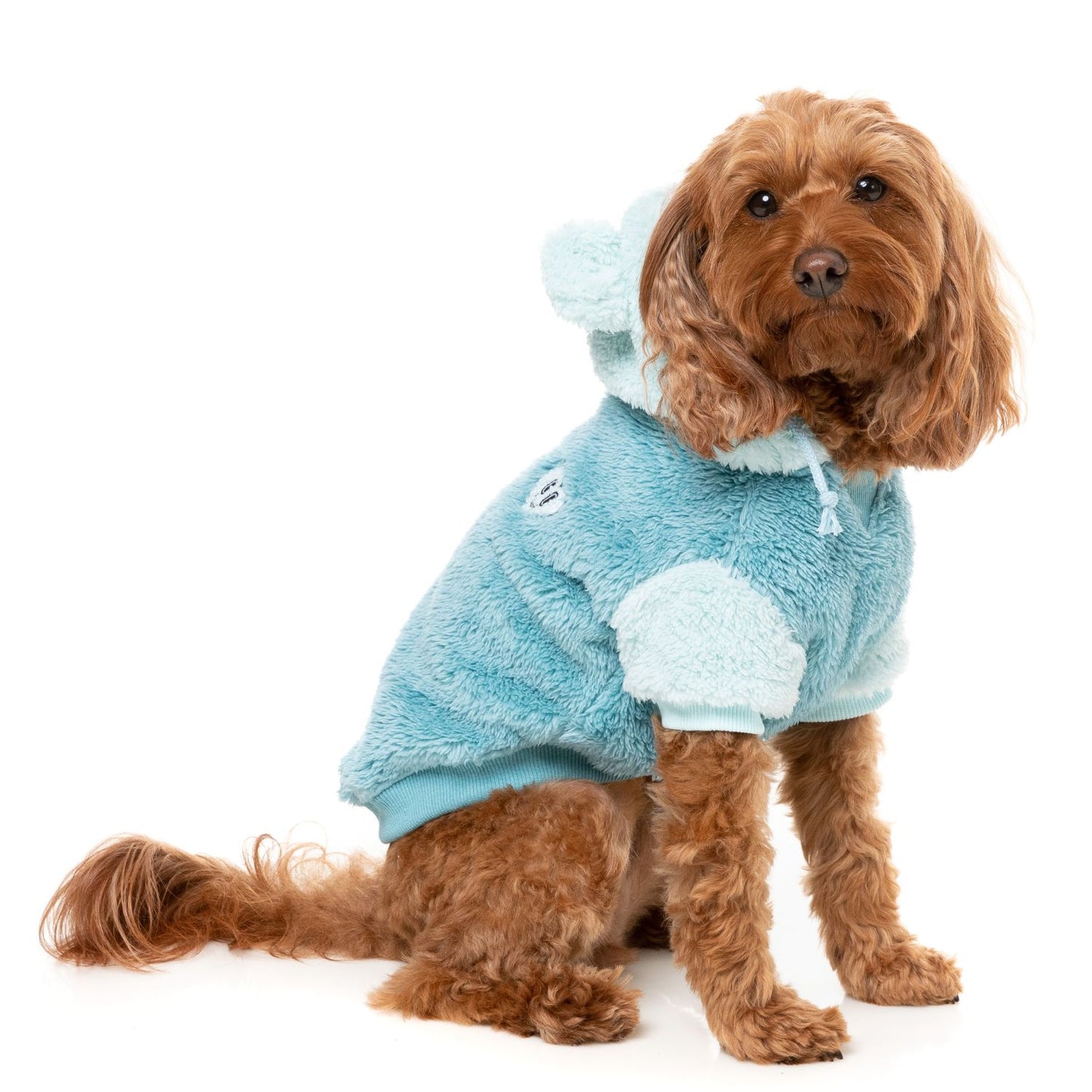 Winnie Dog Hoodie | Blue