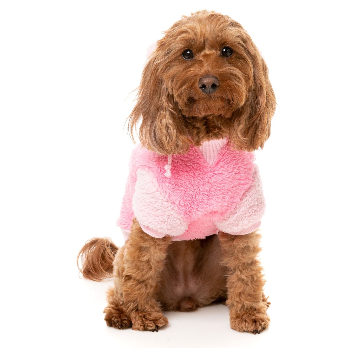 Winnie Dog Hoodie | Pink