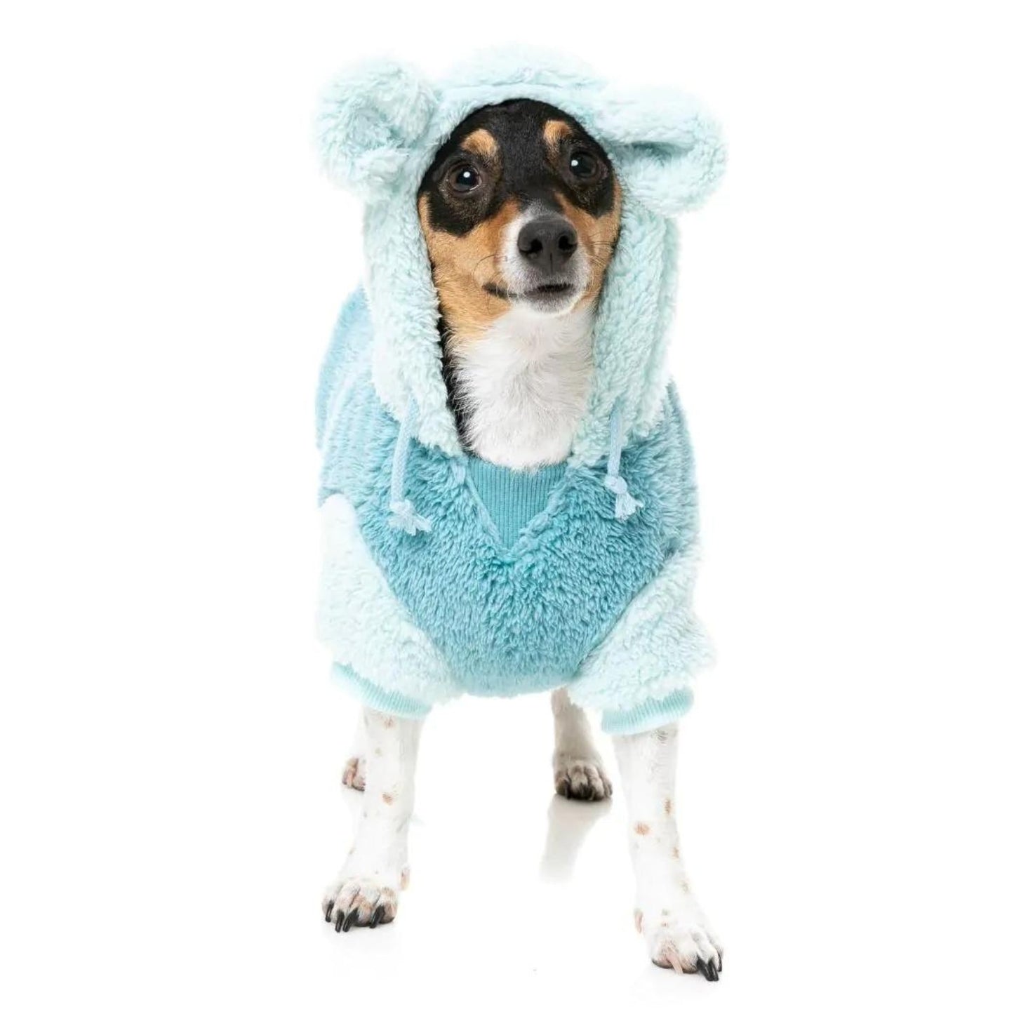 Winnie Dog Hoodie | Blue