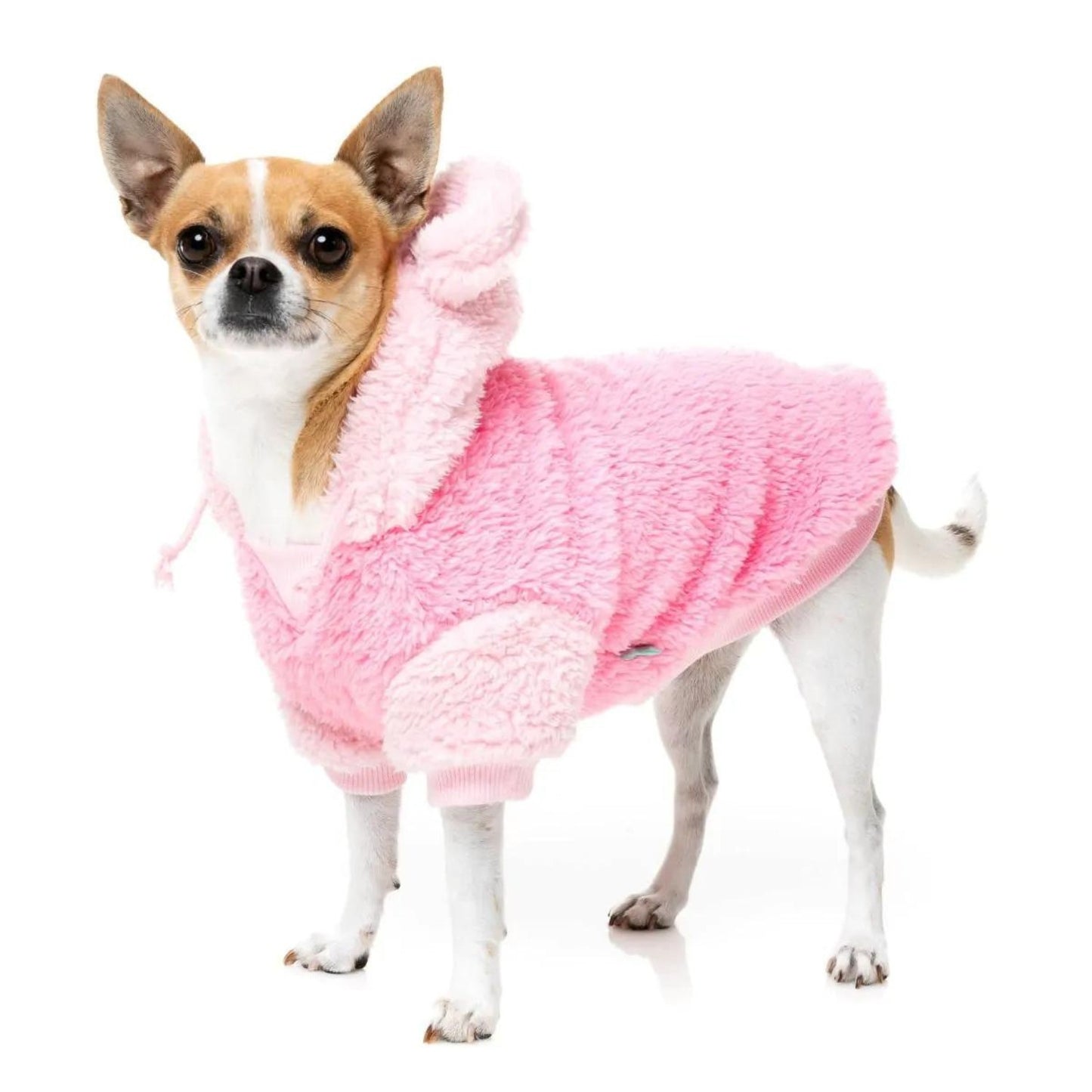 Winnie Dog Hoodie | Pink