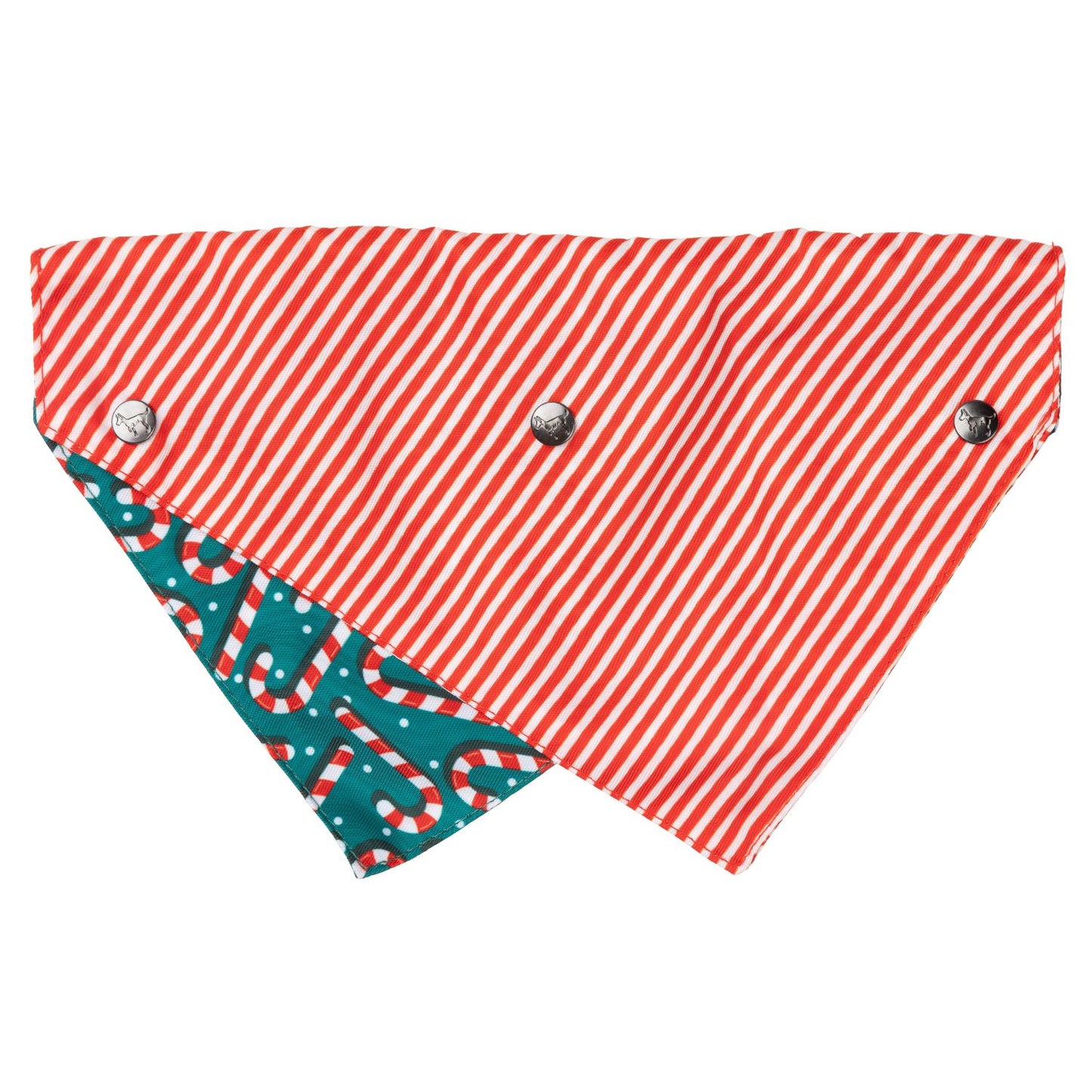 Christmas Dog Bandana | Candy Cane Green