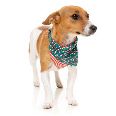 Christmas Dog Bandana | Candy Cane Green