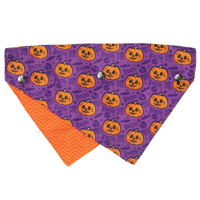 Halloween Dog Bandana | Jack Jack Jackie Lantern | Purple