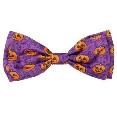 Halloween Dog Bow Tie | Jack Jack Jackie Lantern | Purple