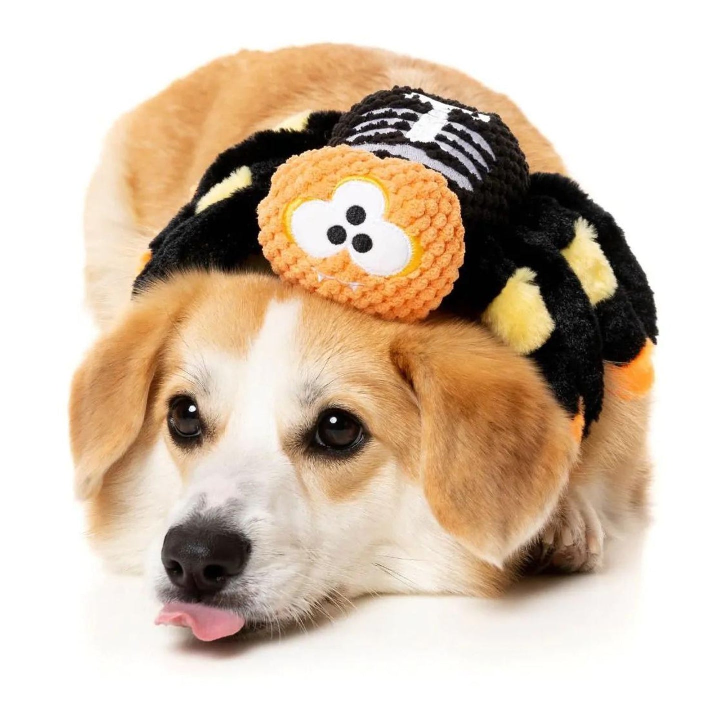 Halloween Plush Dog Toy | Fuzzy Wuzzy Skeleton