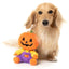 Halloween Plush Dog Toy | Jack-O Chan