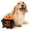 Halloween Plush Dog Toy | Trick or Treat Cauldron