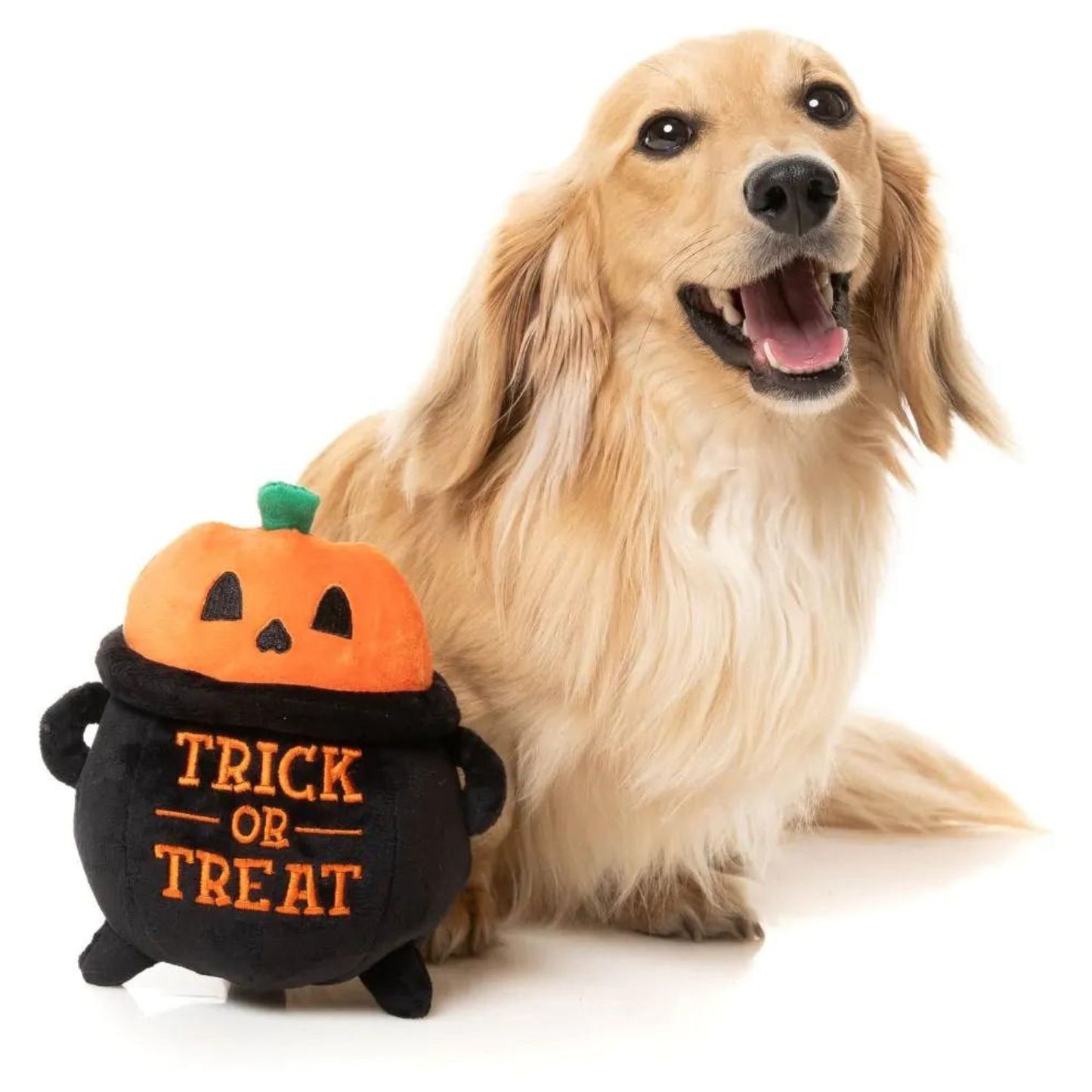 Halloween Plush Dog Toy | Trick or Treat Cauldron
