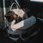 Multipurpose Dog Carrier & Car Seat | Slate Grey