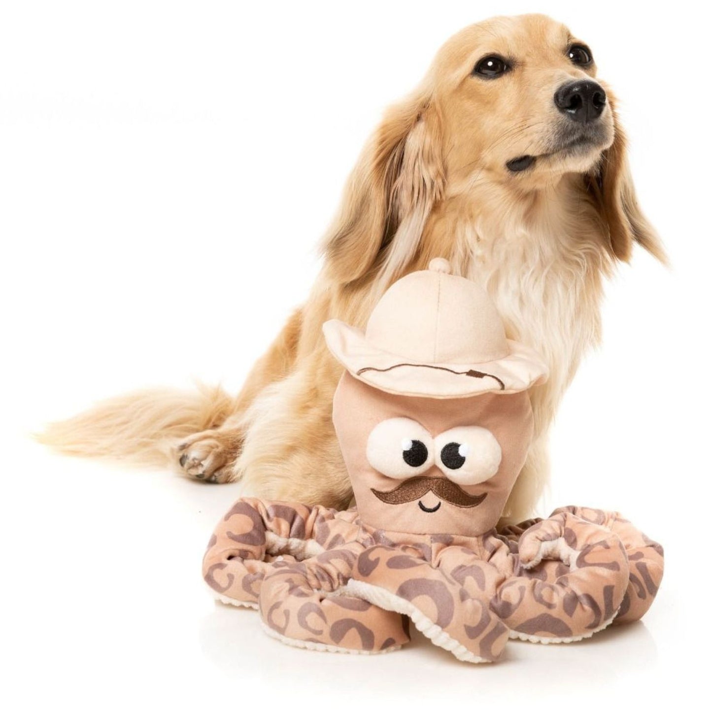 Sir David Octoborough Dog Toy