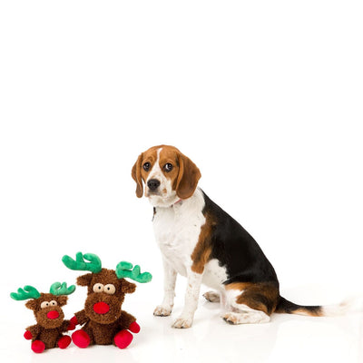 Rocky Reindeer Dog Toy